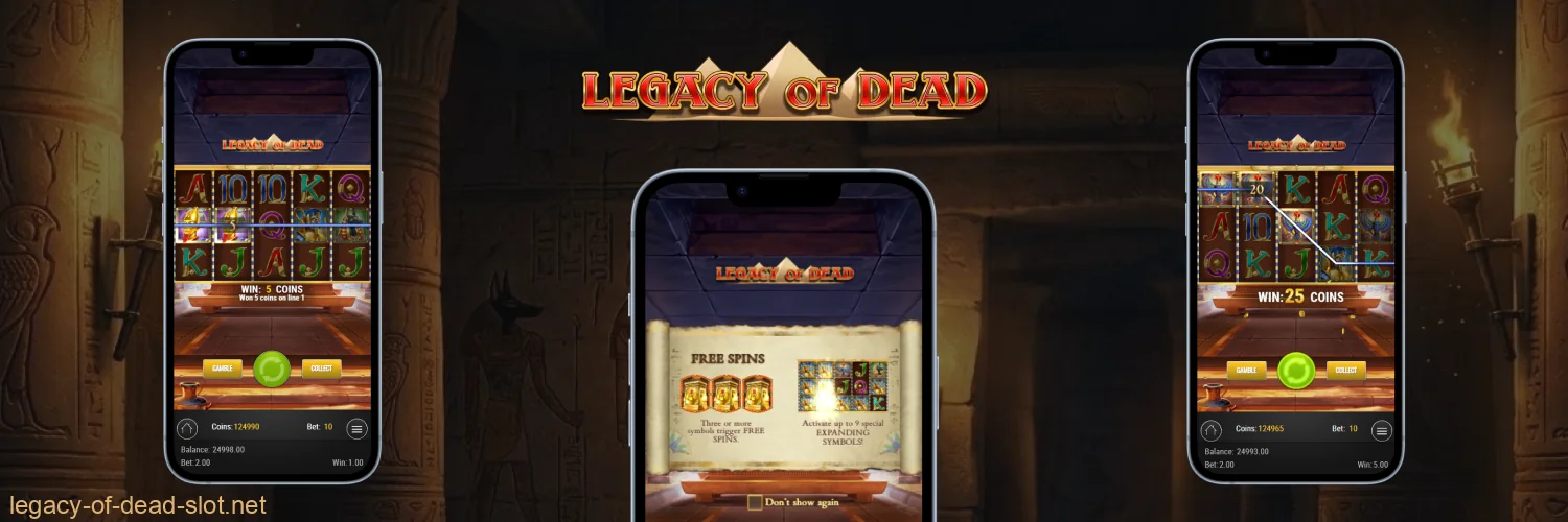 Legacy of Dead can be played online via a dedicated app or directly in a mobile browser